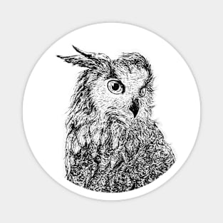 Black and white owl Magnet